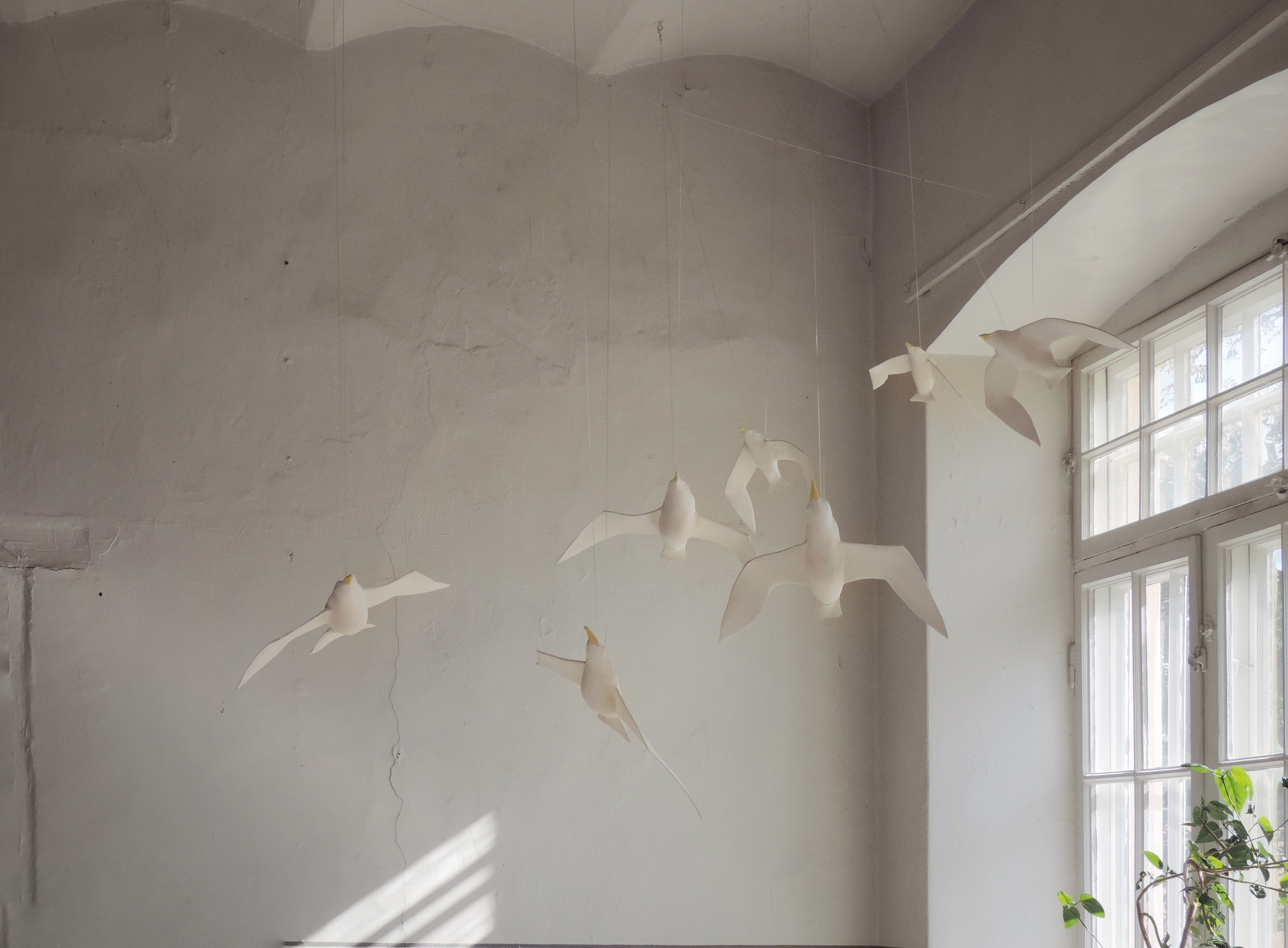 Flying gulls in the gallery